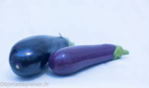 objetsdeplaisir-test-sextoy-selfdelve-aubergine-18