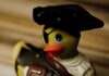 canard vibrant pirate