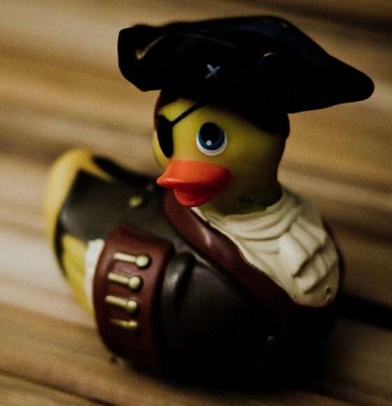 canard vibrant pirate