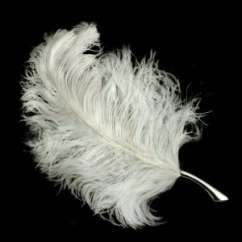 ostrich-feather-leisure-tickler