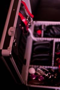 Notre boite à sextoys Bien ranger ses sextoys : notre boite à sextoys