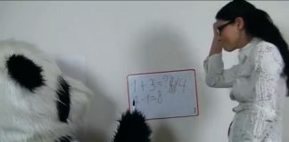 Panda Fuck, un panda porno