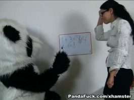 Panda Fuck, un panda porno