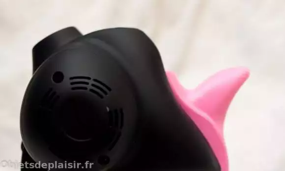 Rock Box : vibro le plus puissant du monde ?