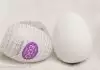 Tenga Egg Spider
