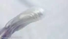 objetsdeplaisir-test-tantus-splash-29