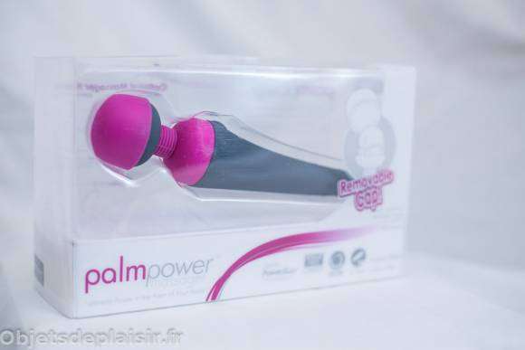 Emballage du Palm Power Massager