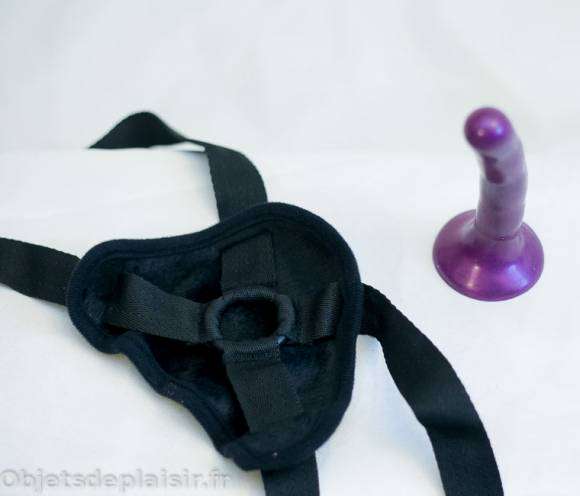 Kit harnais et dildo Sex and Mischief by Sportsheets