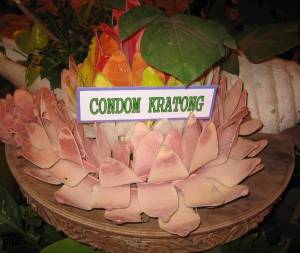 condom_kratong_ellesil