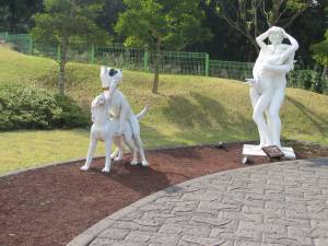 jeju loveland - chiens