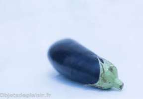 objetsdeplaisir-test-sextoy-selfdelve-aubergine-13