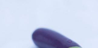 Selfdelve Aubergine