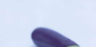 Selfdelve Aubergine
