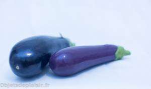 objetsdeplaisir-test-sextoy-selfdelve-aubergine-18