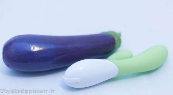 Le gode Aubergine SelfDelve et le Lelo Ina 2