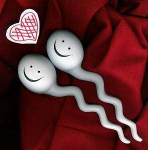 La Sperm Doll, peluche spermatozoïde