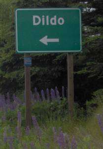 ville de Dildo, Canada