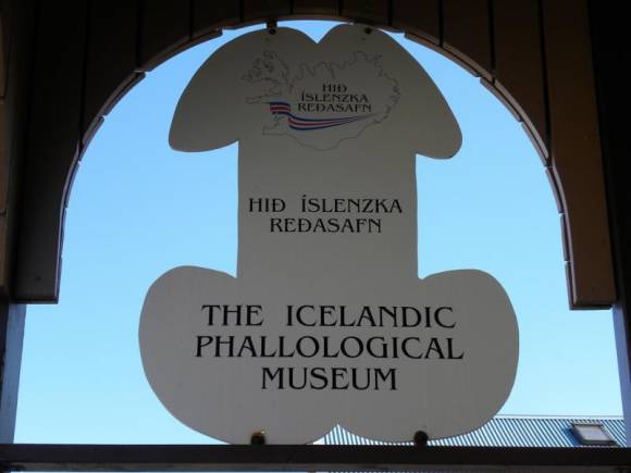 L'enseigne phallique de l'Icelandic Phallological Museum