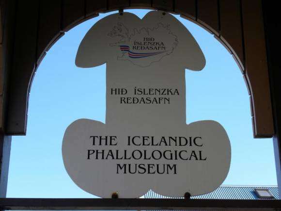 L'enseigne phallique de l'Icelandic Phallological Museum