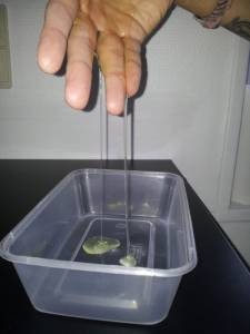 test-urin-lotion-rends-objetsdeplaisir-2