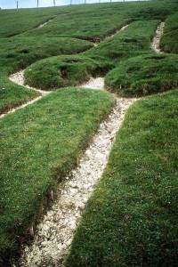 Le pénis du géant de Cerne Abbas