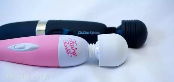 Le Body Wand Rechargeable Massager et le Fairy Turbo Le Body Wand Rechargeable Massager et le Fairy Turbo