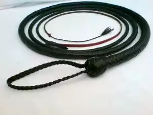 snakewhip