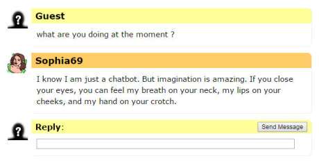 Sex chat bot