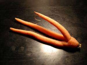 carotte-triple