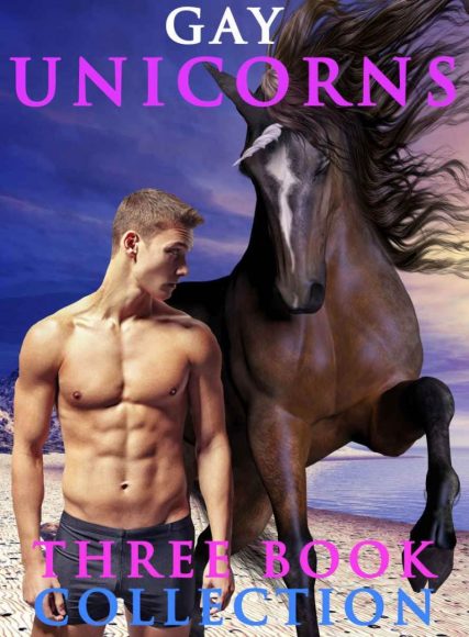 livre érotique avec une licorne : gay unicorn