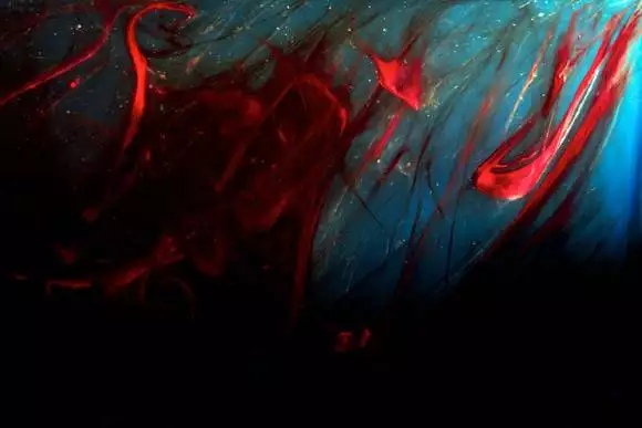 Red Reeds, de Beauty in Blood, photos d'écoulement de sang menstruel