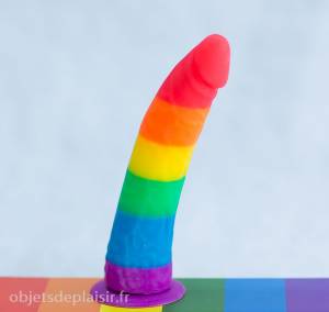 Le Pride Dildo à la verticale