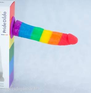 La ventouse du Pride Dildo