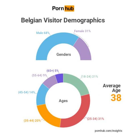 Profil de l'amateur de porno belge