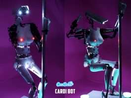 CardiBot, le robot camgirl