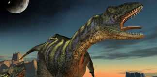 livre érotique avec des dinosaures