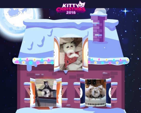 kitty christmas 2018