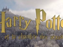 Harry Potter et la chambre des sexualités : l'éducation sexuelle à Poudlard