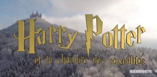 Harry Potter et la chambre des sexualités : l'éducation sexuelle à Poudlard