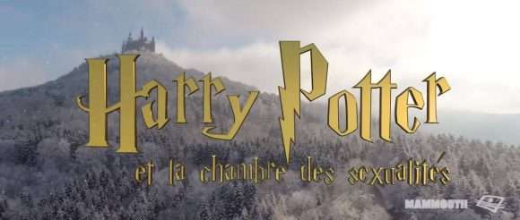 Harry Potter et la chambre des sexualités : l'éducation sexuelle à Poudlard