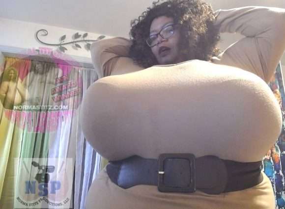 Les records sexuels : Norma Stitz, record du monde des plus gros seins