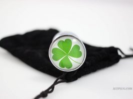 Sextoys Saint-Patrick : le plug anal trèfle à quatre feuilles