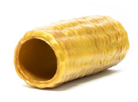 gaine pénienne maïs