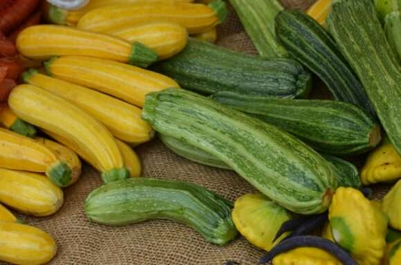 sextoys diy : légumes (courgettes)