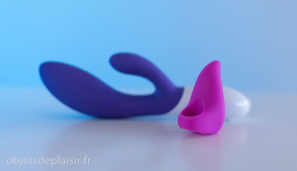 Lovehoney Ignite et Lelo Ina 2