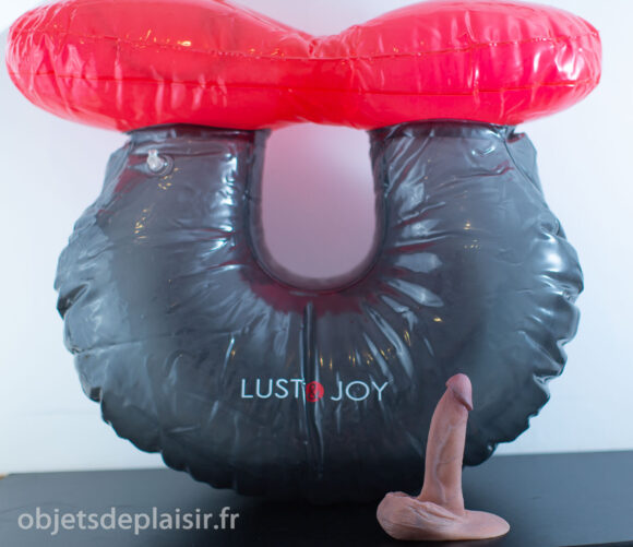 Le Loopy Bounce et la RealCock 2 DTF