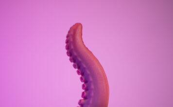 Howard de Petit Vice : test d'un gode tentacule
