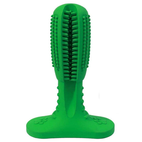 Sextoy ou jouet pour chien ?