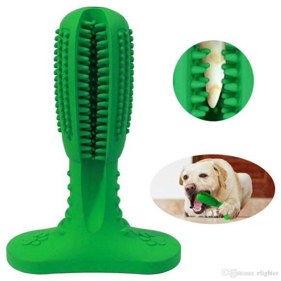 Jouet brosse à dents pour chien