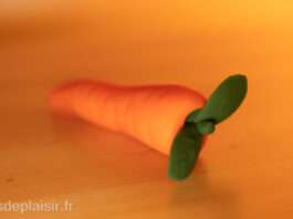 sextoy carotte Gemüse